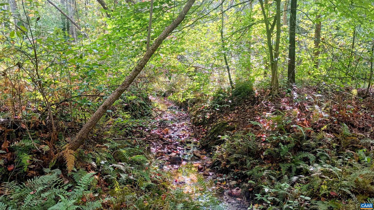 15 DEER RUN LN, SHIPMAN, Virginia 22971, ,Land,For sale,15 DEER RUN LN,671472 MLS # 671472