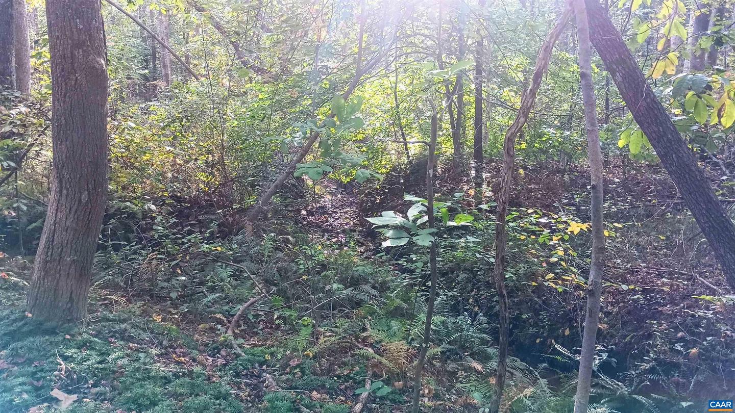 15 DEER RUN LN, SHIPMAN, Virginia 22971, ,Land,For sale,15 DEER RUN LN,671472 MLS # 671472