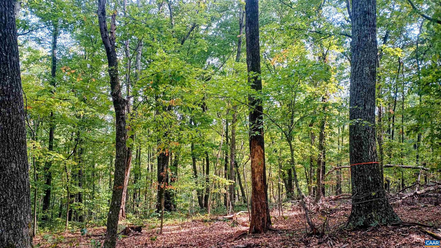 15 DEER RUN LN, SHIPMAN, Virginia 22971, ,Land,For sale,15 DEER RUN LN,671472 MLS # 671472