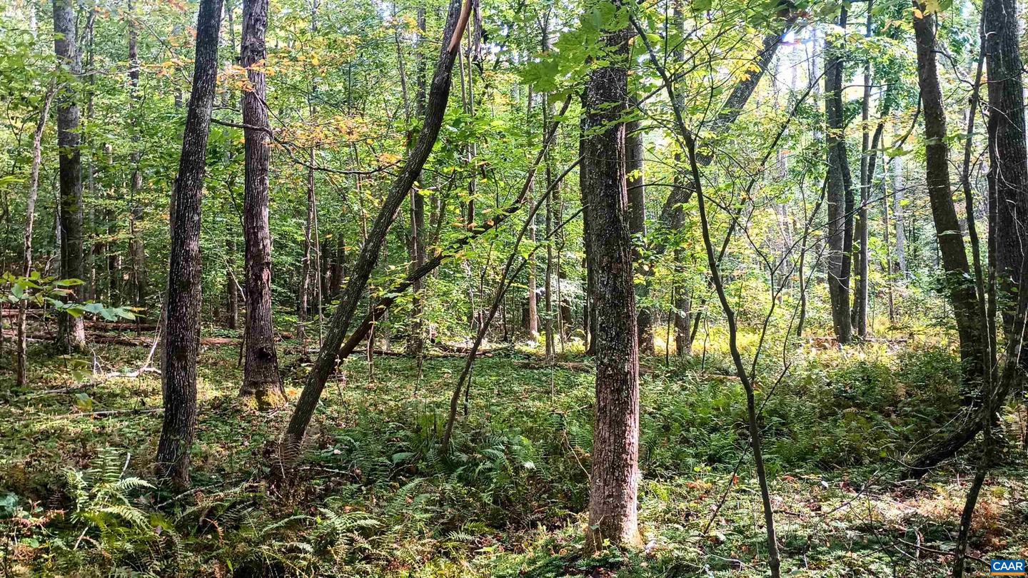 15 DEER RUN LN, SHIPMAN, Virginia 22971, ,Land,For sale,15 DEER RUN LN,671472 MLS # 671472