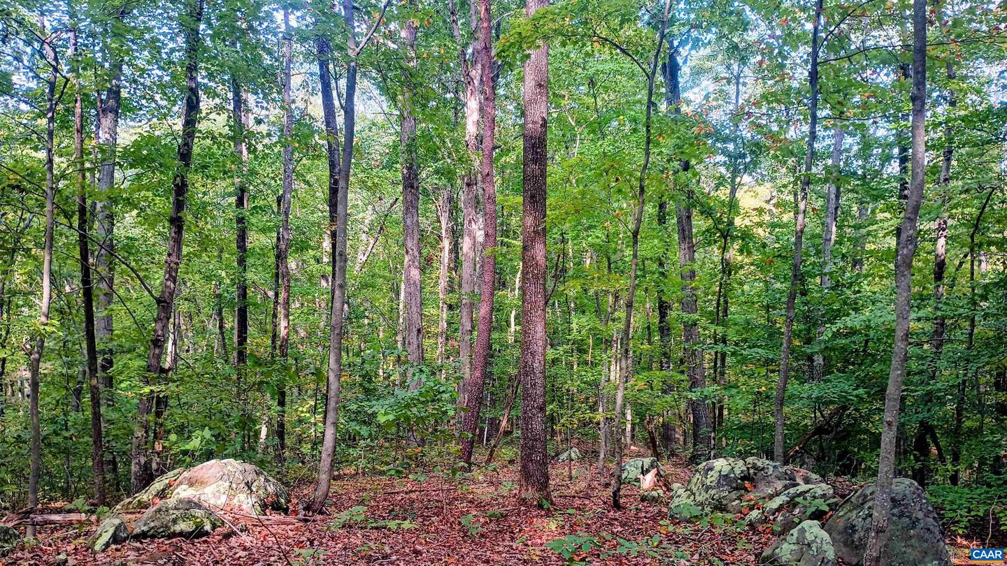 15 DEER RUN LN, SHIPMAN, Virginia 22971, ,Land,For sale,15 DEER RUN LN,671472 MLS # 671472