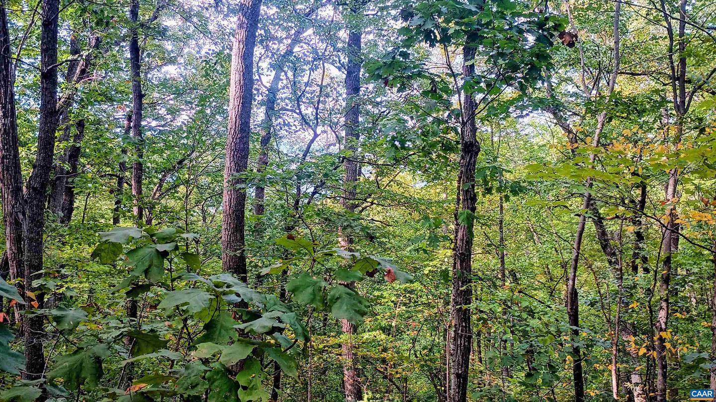 15 DEER RUN LN, SHIPMAN, Virginia 22971, ,Land,For sale,15 DEER RUN LN,671472 MLS # 671472