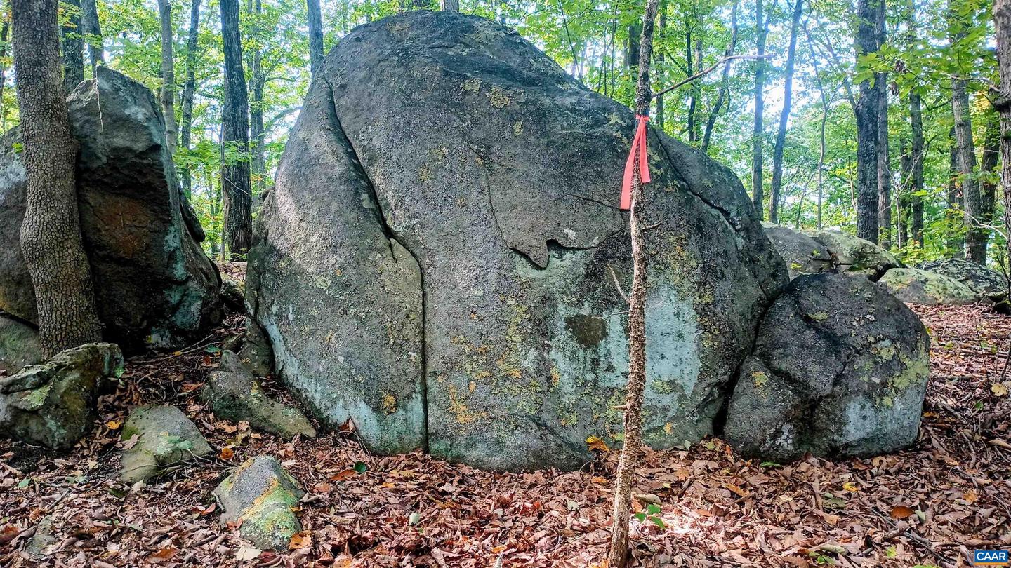 15 DEER RUN LN, SHIPMAN, Virginia 22971, ,Land,For sale,15 DEER RUN LN,671472 MLS # 671472