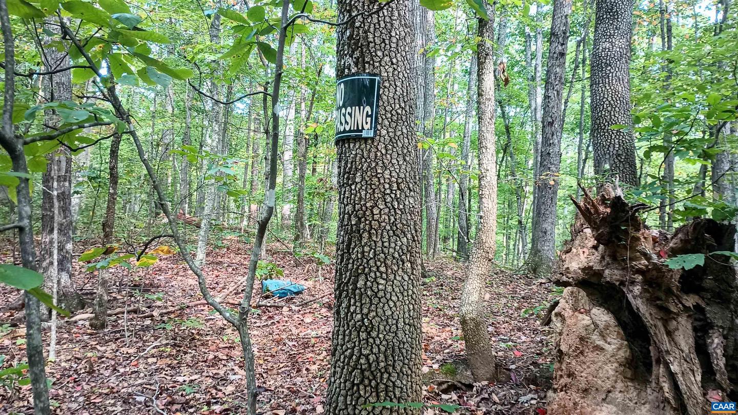 15 DEER RUN LN, SHIPMAN, Virginia 22971, ,Land,For sale,15 DEER RUN LN,671472 MLS # 671472