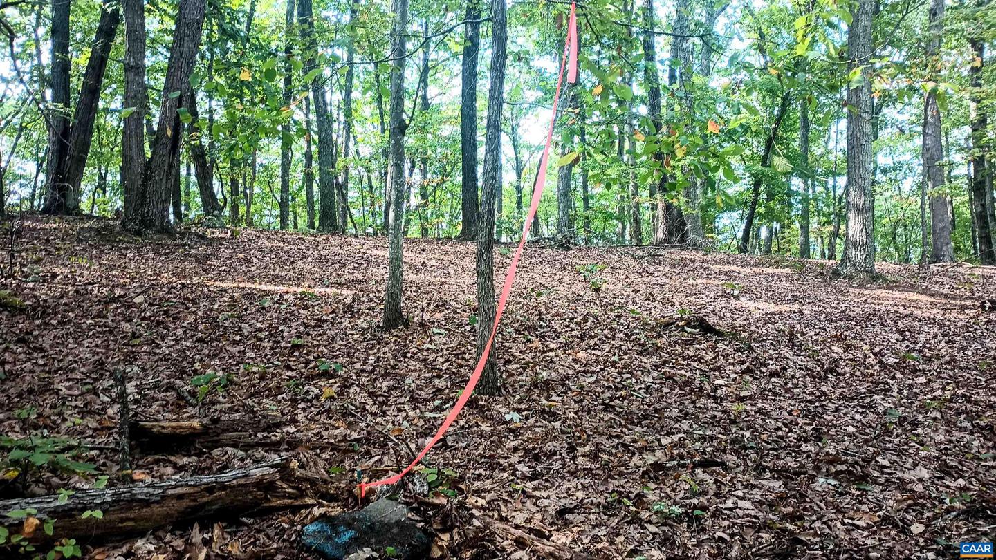 15 DEER RUN LN, SHIPMAN, Virginia 22971, ,Land,For sale,15 DEER RUN LN,671472 MLS # 671472