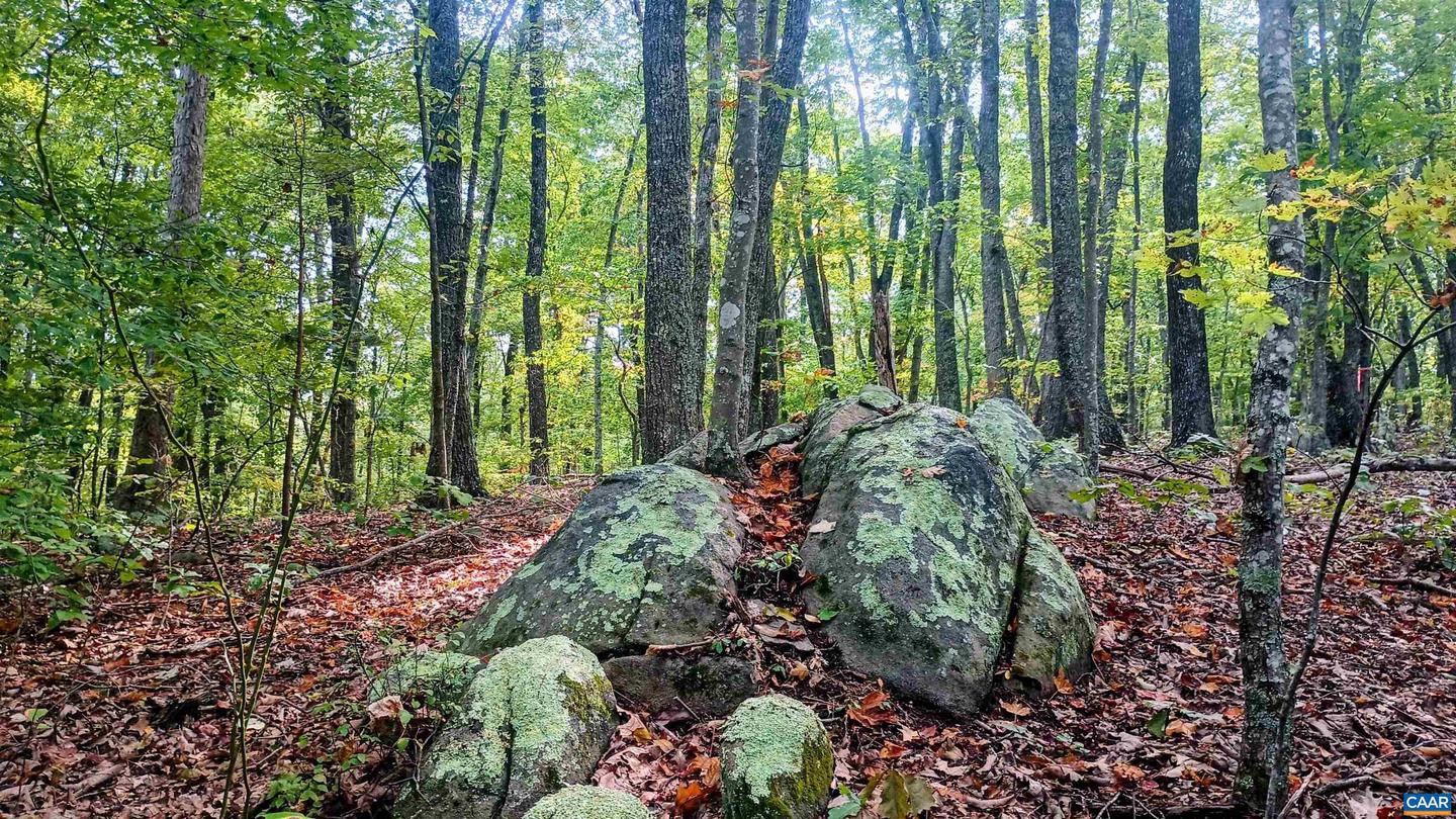 15 DEER RUN LN, SHIPMAN, Virginia 22971, ,Land,For sale,15 DEER RUN LN,671472 MLS # 671472