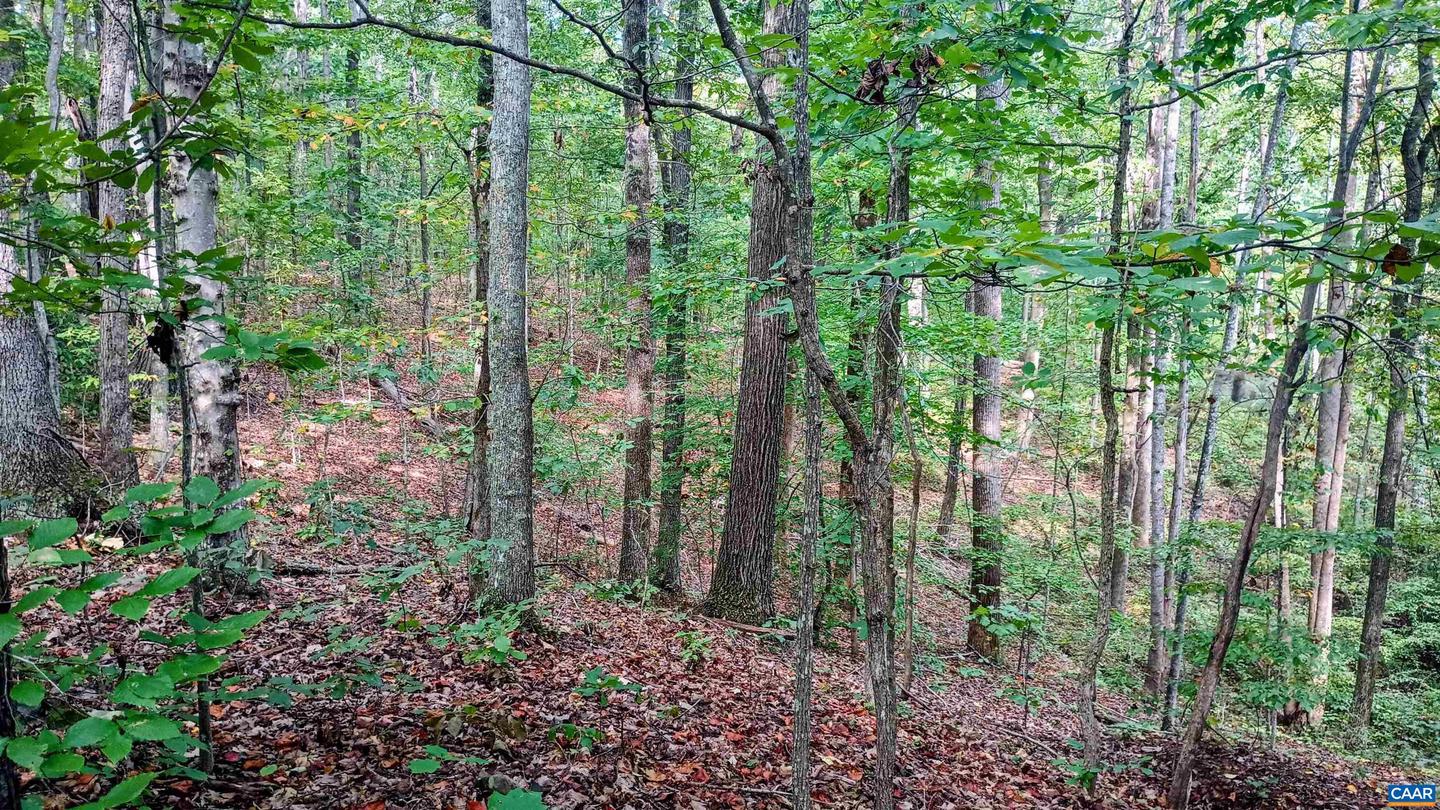 15 DEER RUN LN, SHIPMAN, Virginia 22971, ,Land,For sale,15 DEER RUN LN,671472 MLS # 671472