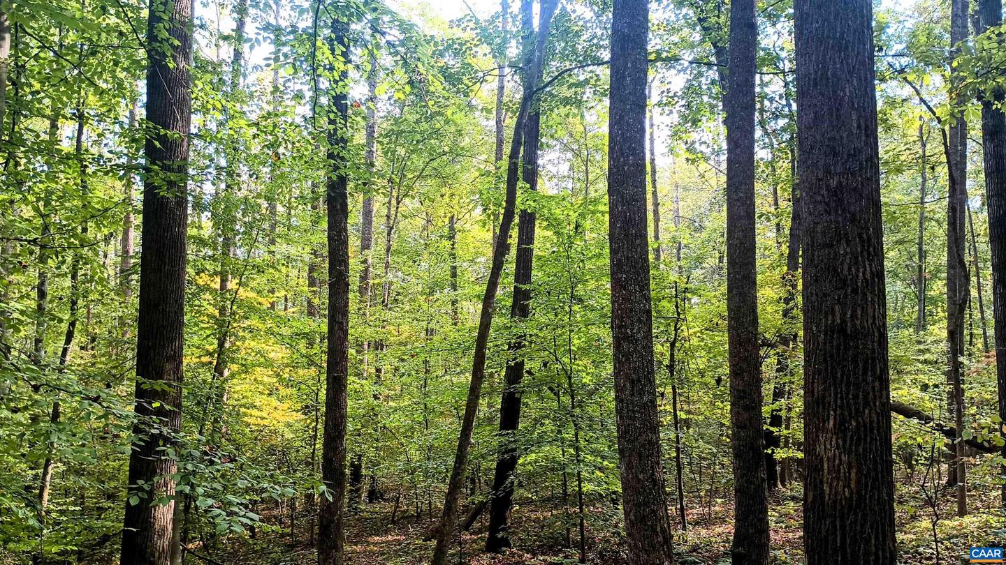 15 DEER RUN LN, SHIPMAN, Virginia 22971, ,Land,For sale,15 DEER RUN LN,671472 MLS # 671472