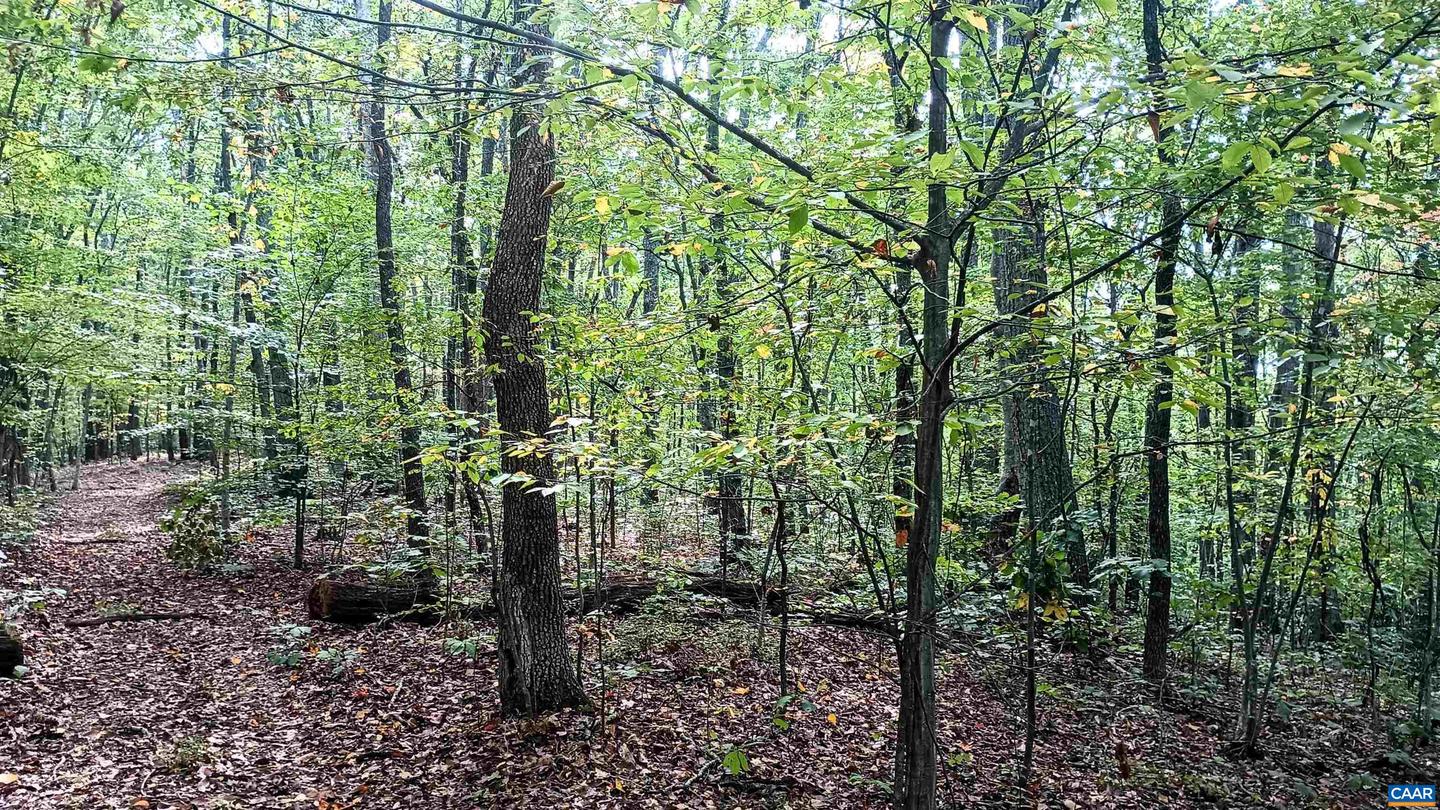 15 DEER RUN LN, SHIPMAN, Virginia 22971, ,Land,For sale,15 DEER RUN LN,671472 MLS # 671472