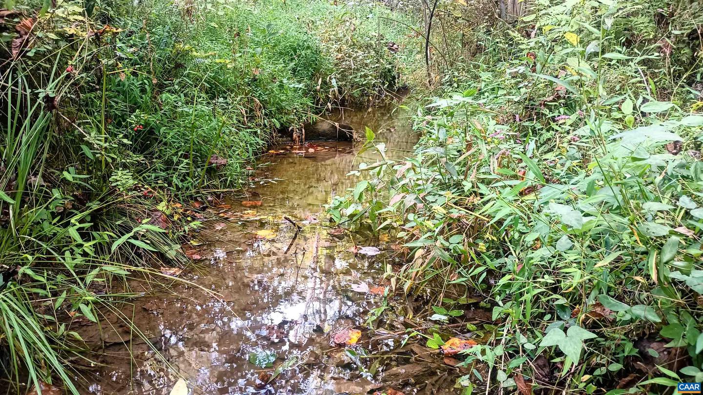 15 DEER RUN LN, SHIPMAN, Virginia 22971, ,Land,For sale,15 DEER RUN LN,671472 MLS # 671472