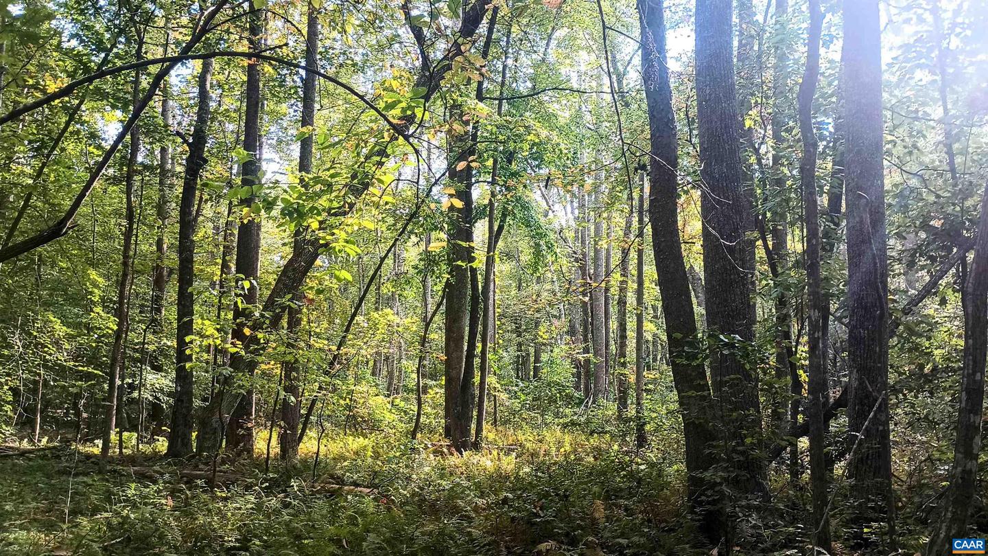 15 DEER RUN LN, SHIPMAN, Virginia 22971, ,Land,For sale,15 DEER RUN LN,671472 MLS # 671472