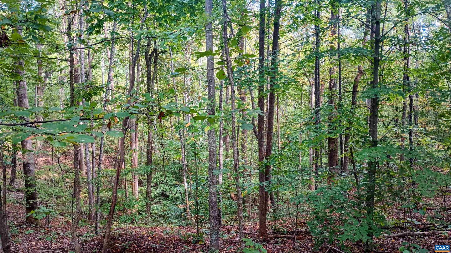 15 DEER RUN LN, SHIPMAN, Virginia 22971, ,Land,For sale,15 DEER RUN LN,671472 MLS # 671472