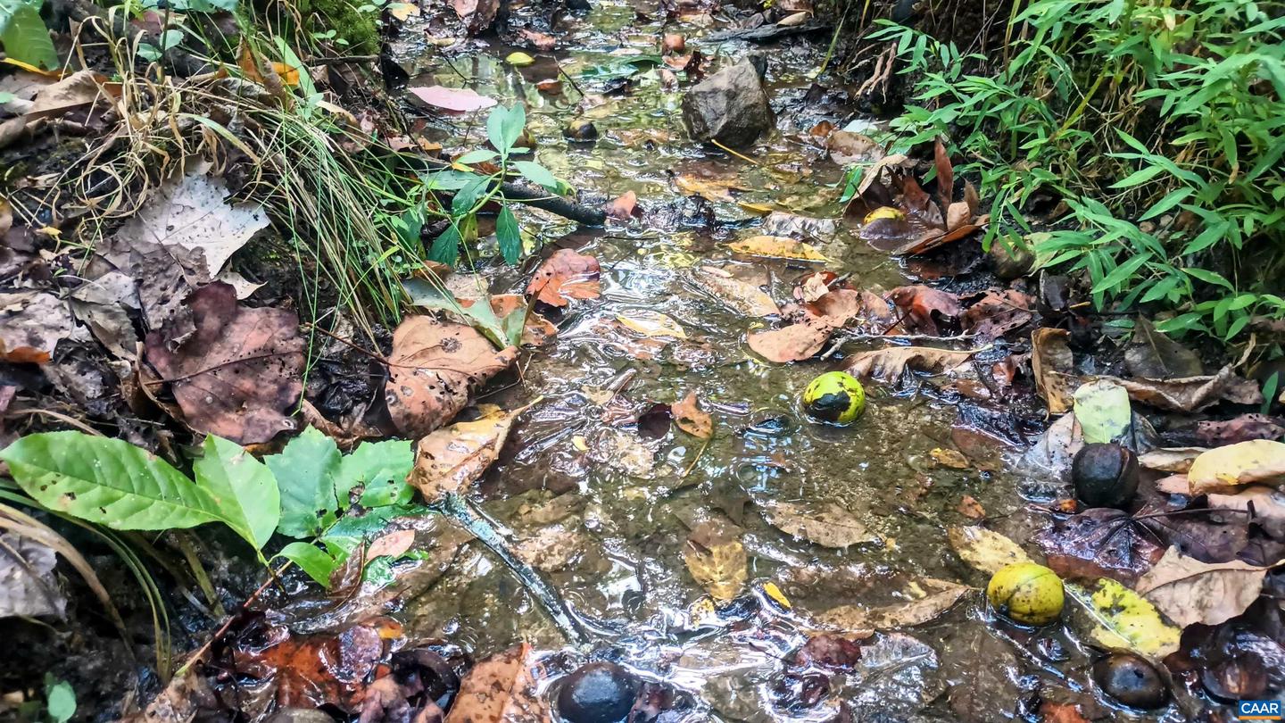 15 DEER RUN LN, SHIPMAN, Virginia 22971, ,Land,For sale,15 DEER RUN LN,671472 MLS # 671472