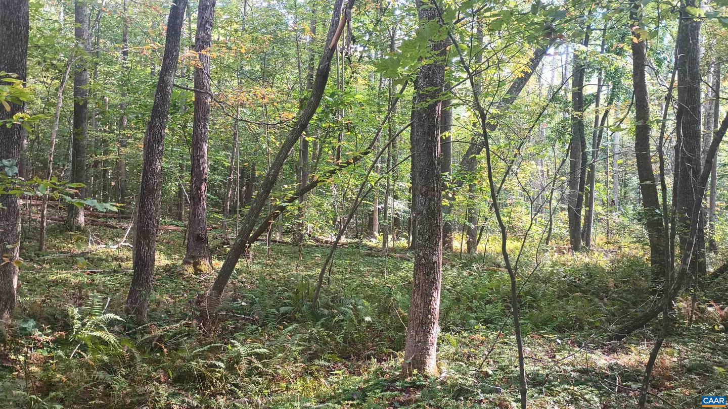 15 DEER RUN LN, SHIPMAN, Virginia 22971, ,Land,For sale,15 DEER RUN LN,671472 MLS # 671472