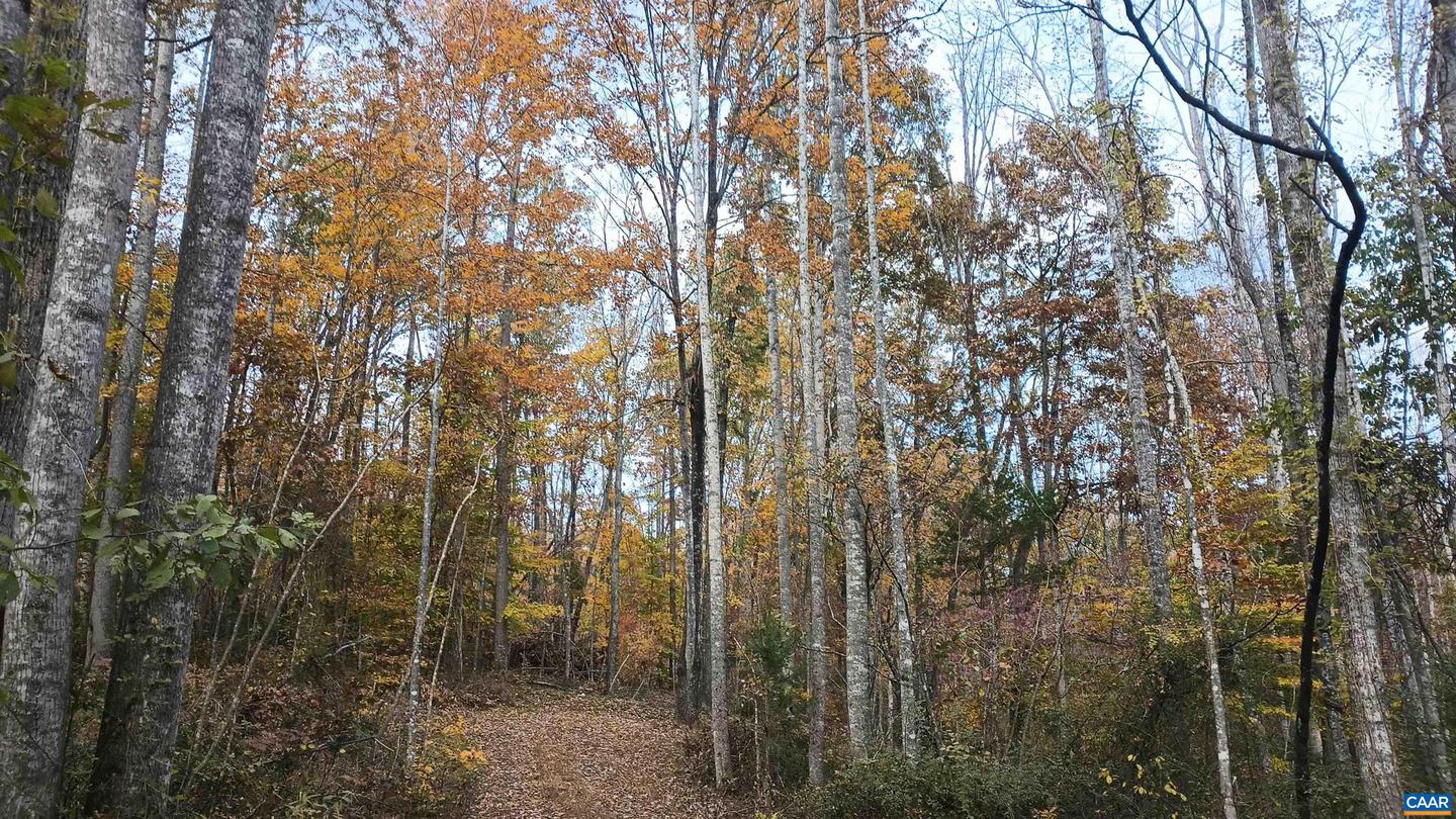 15 DEER RUN LN, SHIPMAN, Virginia 22971, ,Land,For sale,15 DEER RUN LN,671472 MLS # 671472