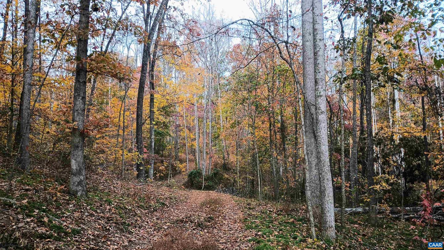 15 DEER RUN LN, SHIPMAN, Virginia 22971, ,Land,For sale,15 DEER RUN LN,671472 MLS # 671472