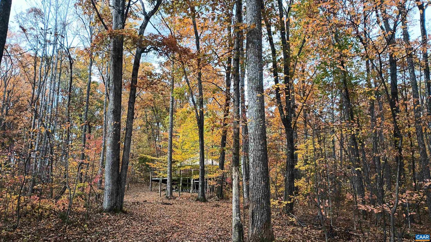 15 DEER RUN LN, SHIPMAN, Virginia 22971, ,Land,For sale,15 DEER RUN LN,671472 MLS # 671472