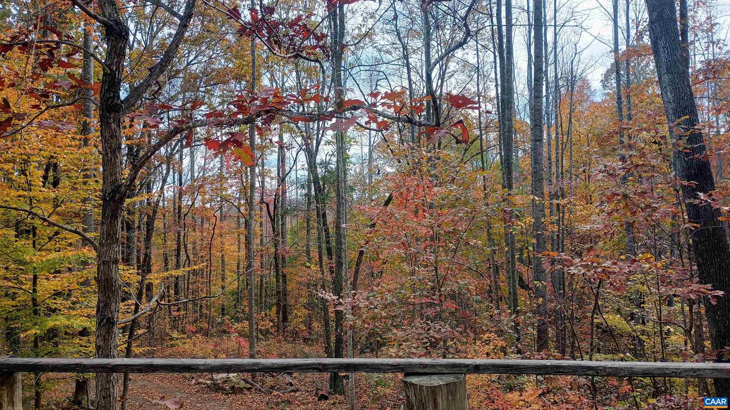 15 DEER RUN LN, SHIPMAN, Virginia 22971, ,Land,For sale,15 DEER RUN LN,671472 MLS # 671472