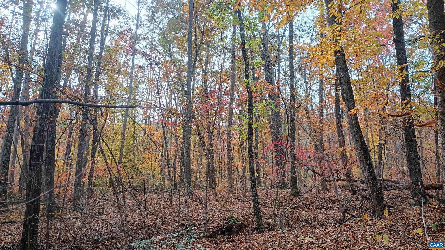 15 DEER RUN LN, SHIPMAN, Virginia 22971, ,Land,For sale,15 DEER RUN LN,671472 MLS # 671472