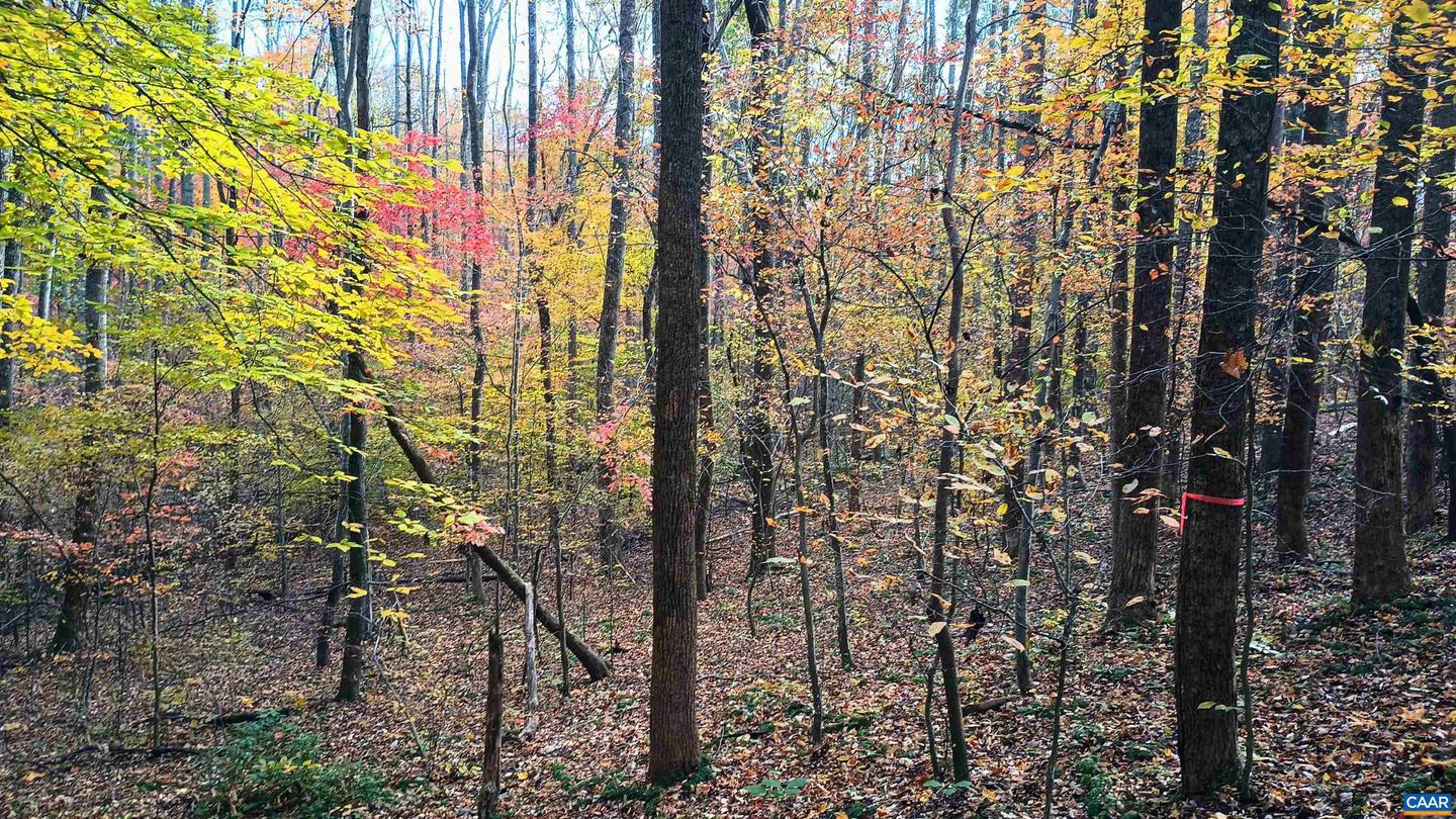 15 DEER RUN LN, SHIPMAN, Virginia 22971, ,Land,For sale,15 DEER RUN LN,671472 MLS # 671472