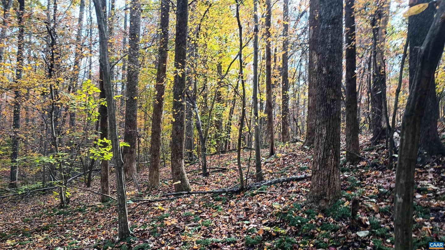 15 DEER RUN LN, SHIPMAN, Virginia 22971, ,Land,For sale,15 DEER RUN LN,671472 MLS # 671472