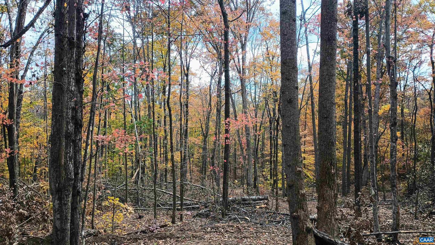 15 DEER RUN LN, SHIPMAN, Virginia 22971, ,Land,For sale,15 DEER RUN LN,671472 MLS # 671472