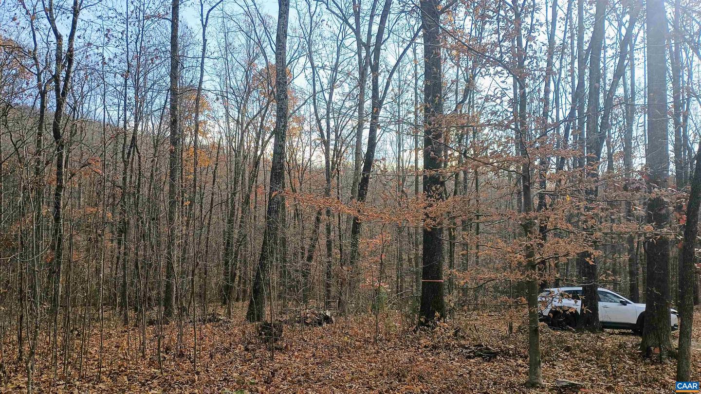 15 DEER RUN LN, SHIPMAN, Virginia 22971, ,Land,For sale,15 DEER RUN LN,671472 MLS # 671472