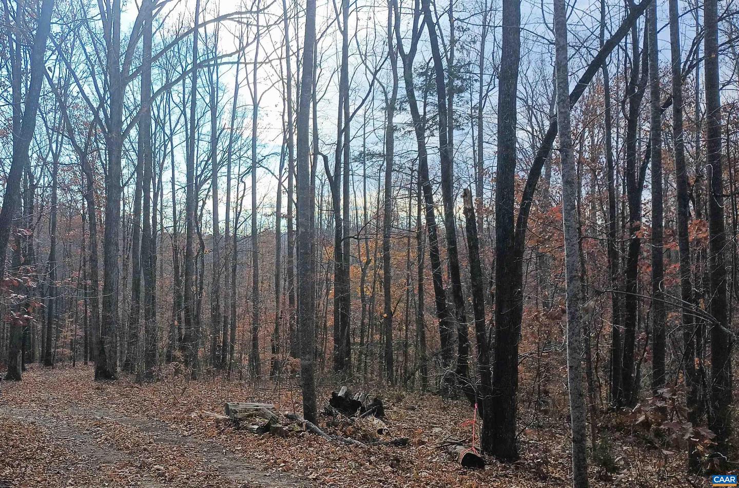 15 DEER RUN LN, SHIPMAN, Virginia 22971, ,Land,For sale,15 DEER RUN LN,671472 MLS # 671472