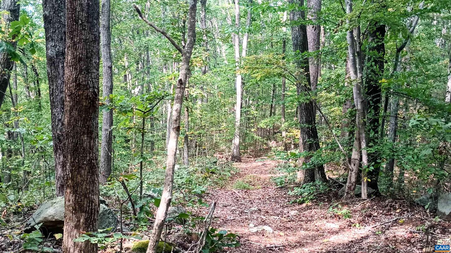 15 DEER RUN LN, SHIPMAN, Virginia 22971, ,Land,For sale,15 DEER RUN LN,671472 MLS # 671472