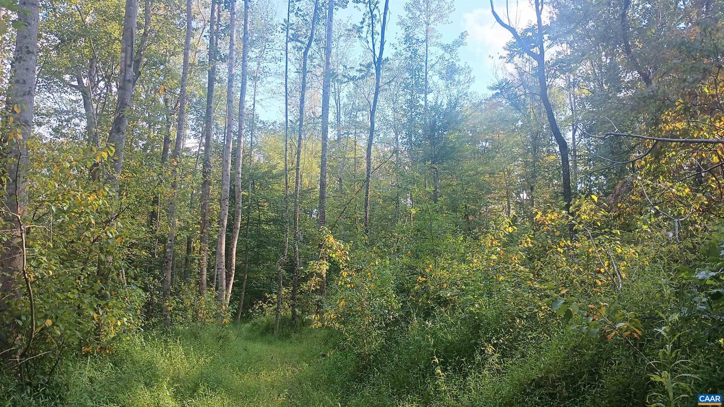 15 DEER RUN LN, SHIPMAN, Virginia 22971, ,Land,For sale,15 DEER RUN LN,671472 MLS # 671472