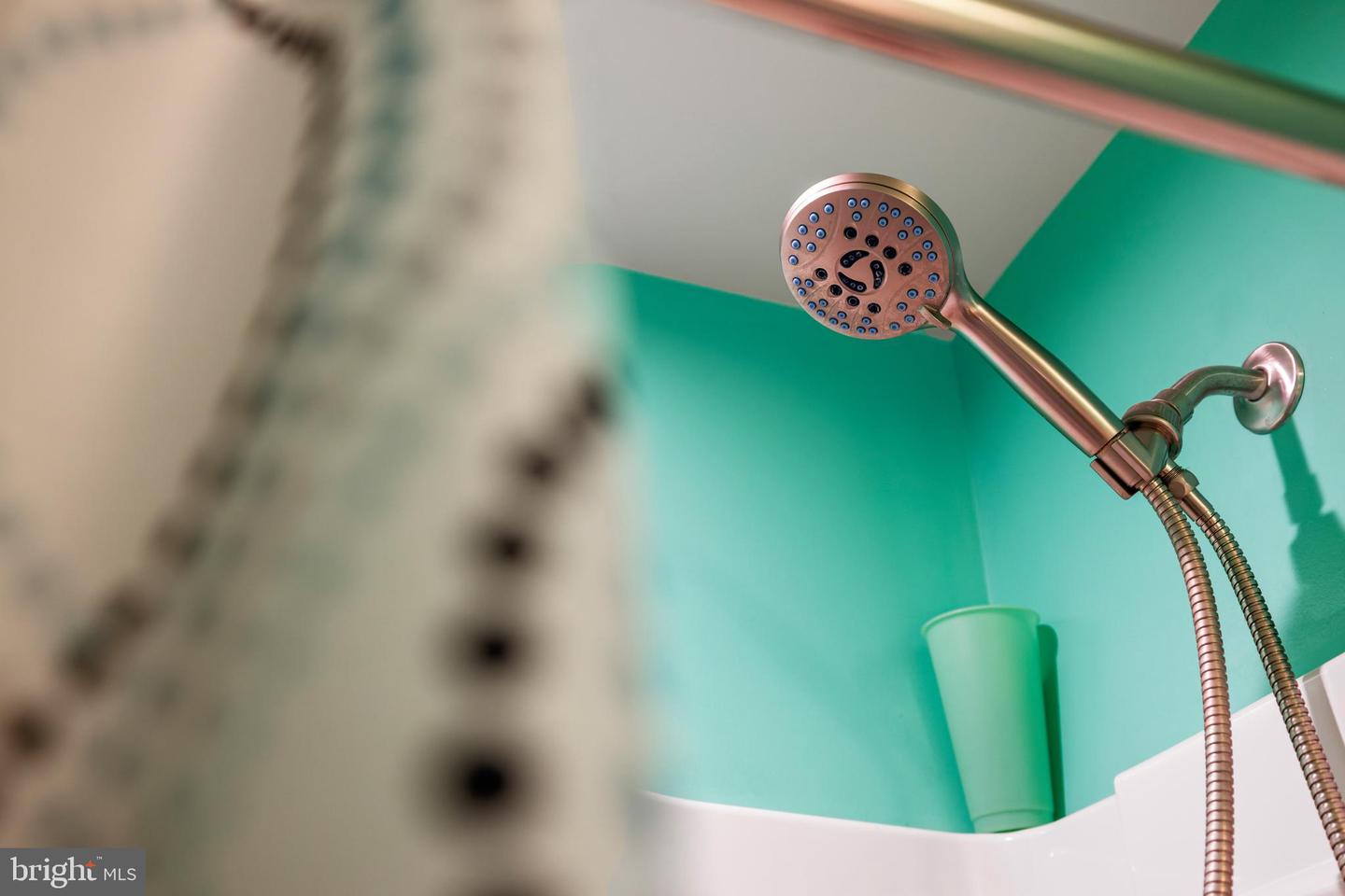 10166 OAK CIRCLE LN, MCGAHEYSVILLE, Virginia 22840, 6 Bedrooms Bedrooms, ,5 BathroomsBathrooms,Residential,For sale,10166 OAK CIRCLE LN,VARO2002746 MLS # VARO2002746