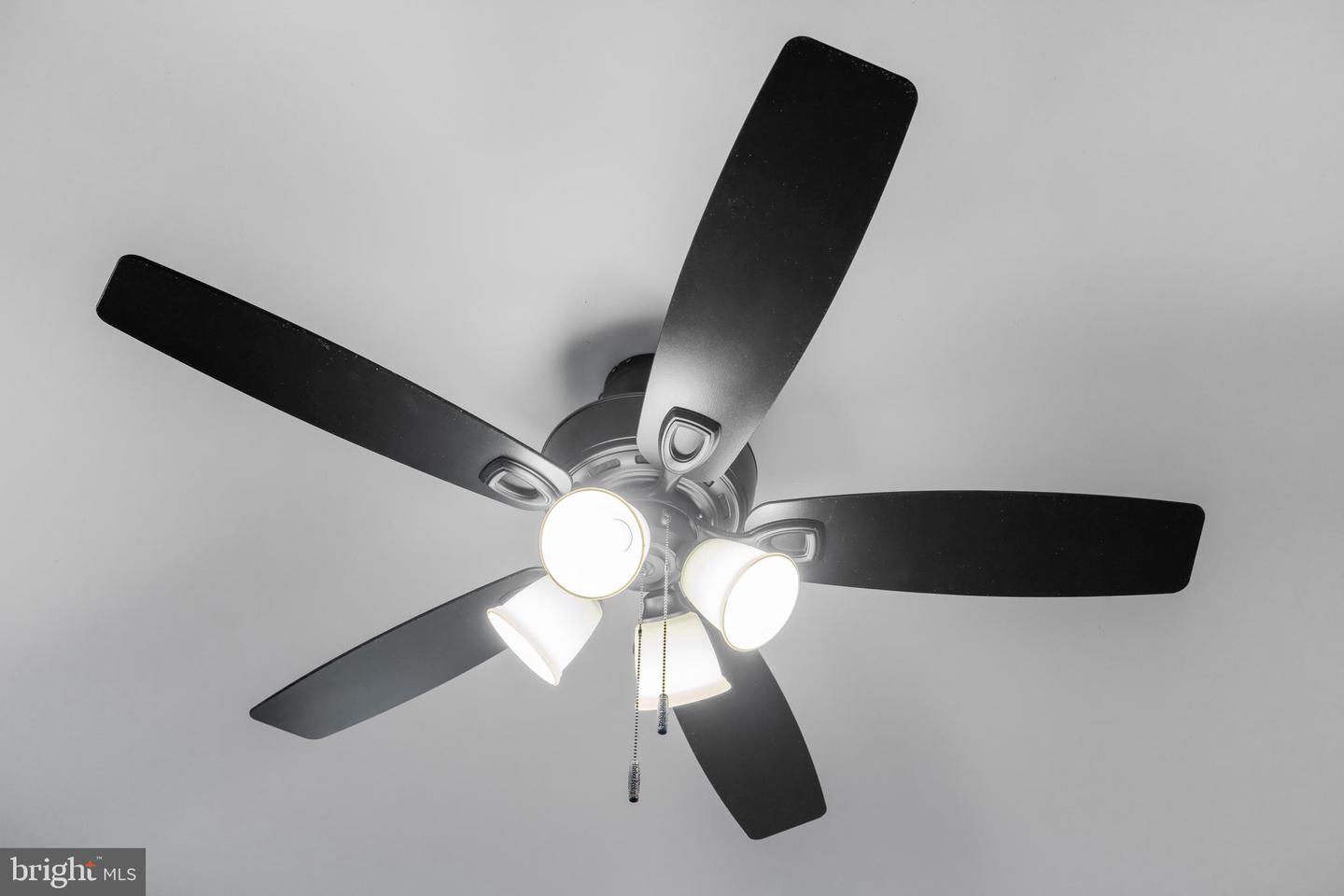 10166 OAK CIRCLE LN, MCGAHEYSVILLE, Virginia 22840, 6 Bedrooms Bedrooms, ,5 BathroomsBathrooms,Residential,For sale,10166 OAK CIRCLE LN,VARO2002746 MLS # VARO2002746