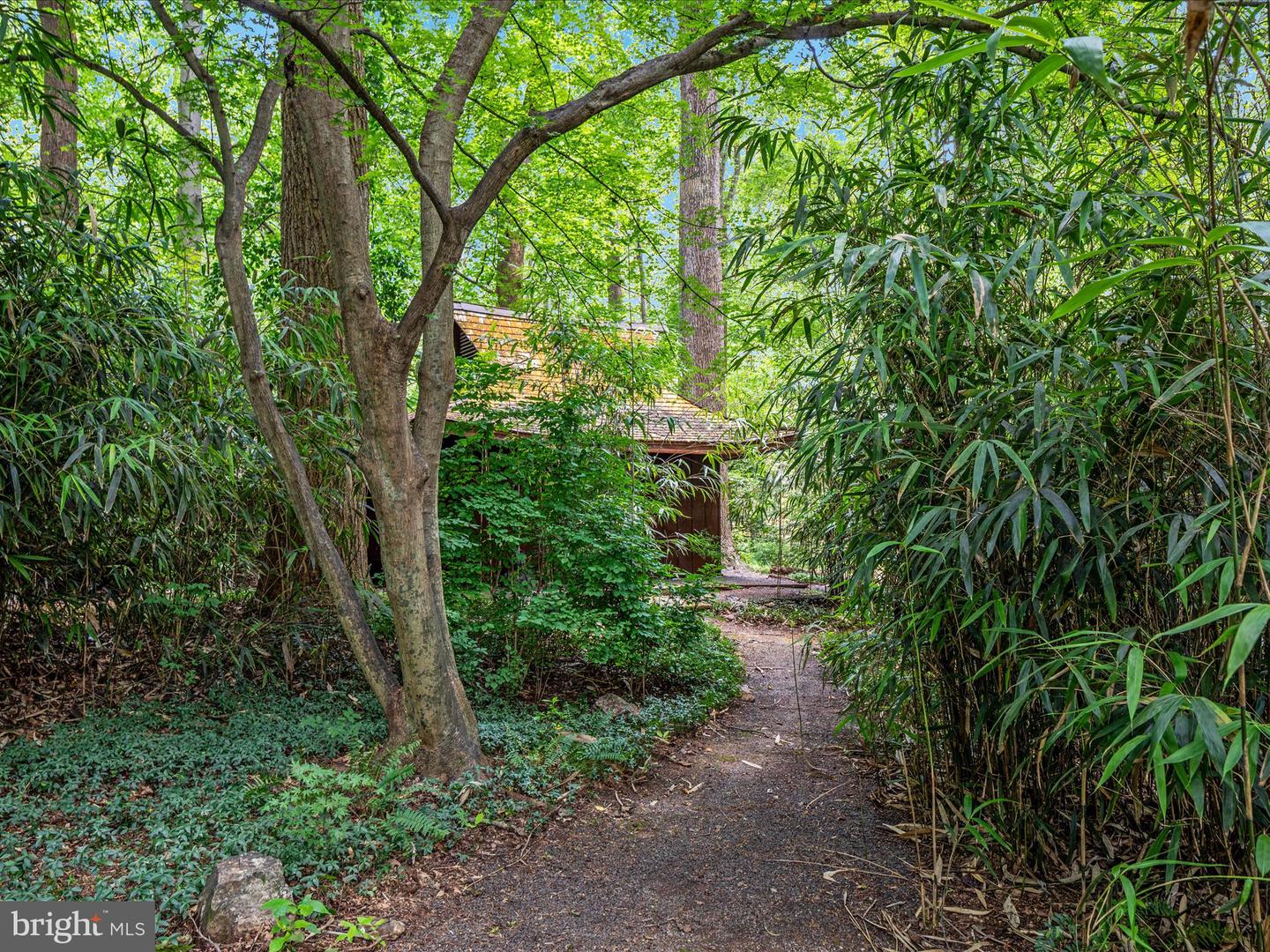 13209 JOHNNY MOORE LN, CLIFTON, Virginia 20124, 5 Bedrooms Bedrooms, ,4 BathroomsBathrooms,Residential,For sale,13209 JOHNNY MOORE LN,VAFX2280446 MLS # VAFX2280446 13209 JOHNNY MOORE LN, CLIFTON, Virginia 20124, 5 Bedrooms Bedrooms, ,4 BathroomsBathrooms,Residential,For sale,13209 JOHNNY MOORE LN,VAFX2280446 MLS # VAFX2280446