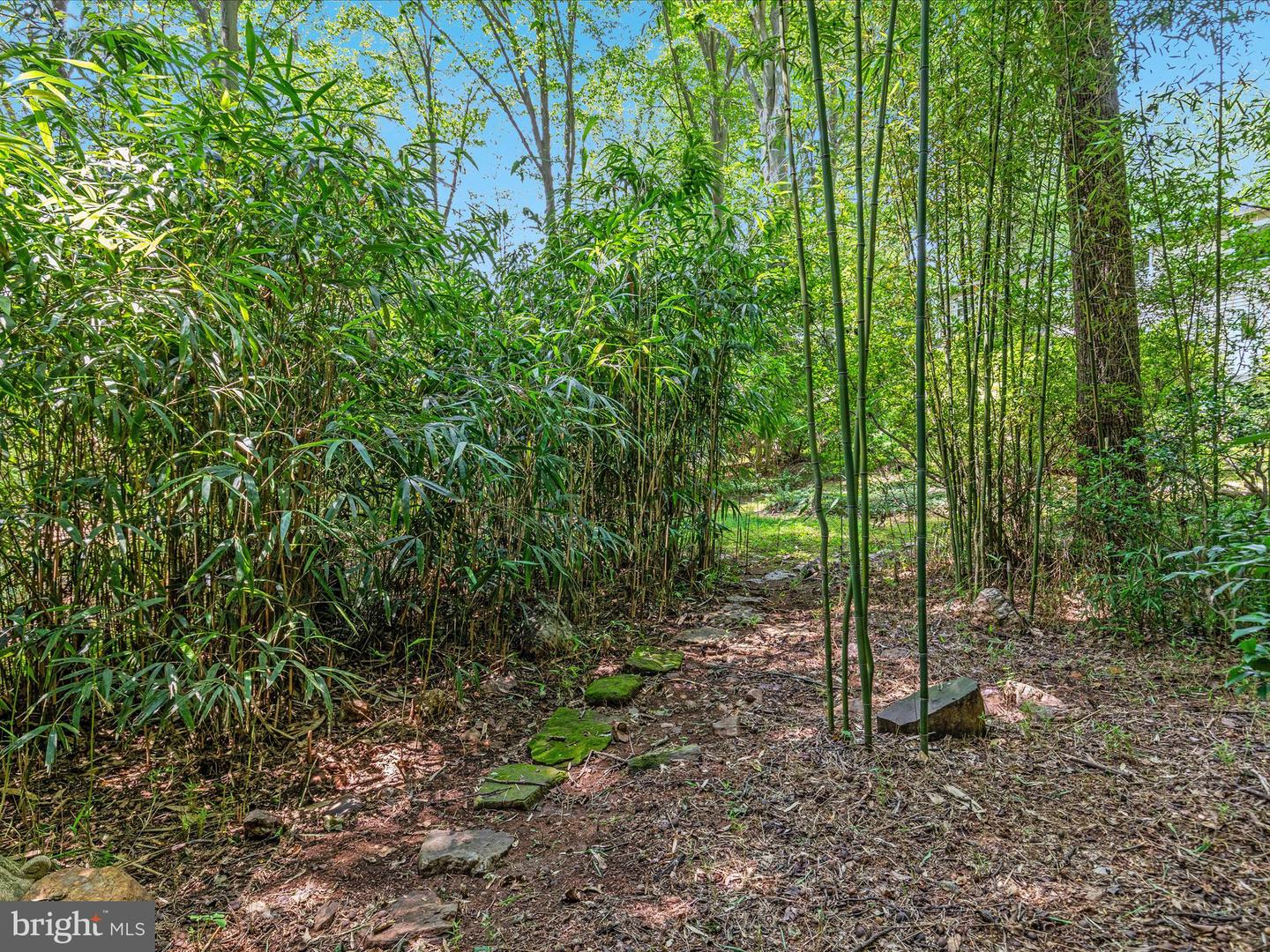 13209 JOHNNY MOORE LN, CLIFTON, Virginia 20124, 5 Bedrooms Bedrooms, ,4 BathroomsBathrooms,Residential,For sale,13209 JOHNNY MOORE LN,VAFX2280446 MLS # VAFX2280446 13209 JOHNNY MOORE LN, CLIFTON, Virginia 20124, 5 Bedrooms Bedrooms, ,4 BathroomsBathrooms,Residential,For sale,13209 JOHNNY MOORE LN,VAFX2280446 MLS # VAFX2280446