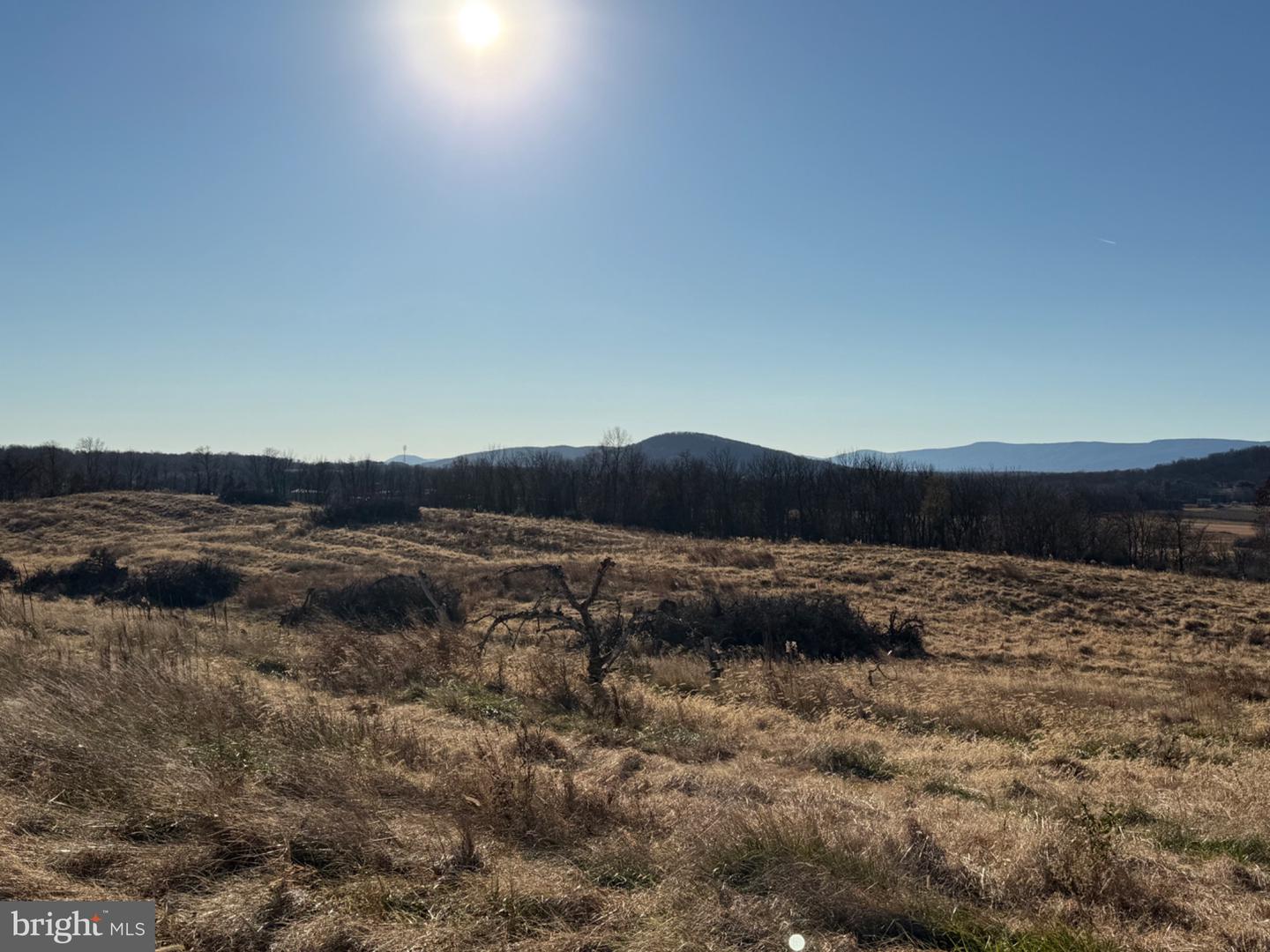 LOT 18 HONEYCRISP WAY, WINCHESTER, Virginia 22603, 4 Bedrooms Bedrooms, 15 Rooms Rooms,4 BathroomsBathrooms,Residential,For sale,LOT 18 HONEYCRISP WAY,VAFV2038120 MLS # VAFV2038120 LOT 18 HONEYCRISP WAY, WINCHESTER, Virginia 22603, 4 Bedrooms Bedrooms, 15 Rooms Rooms,4 BathroomsBathrooms,Residential,For sale,LOT 18 HONEYCRISP WAY,VAFV2038120 MLS # VAFV2038120