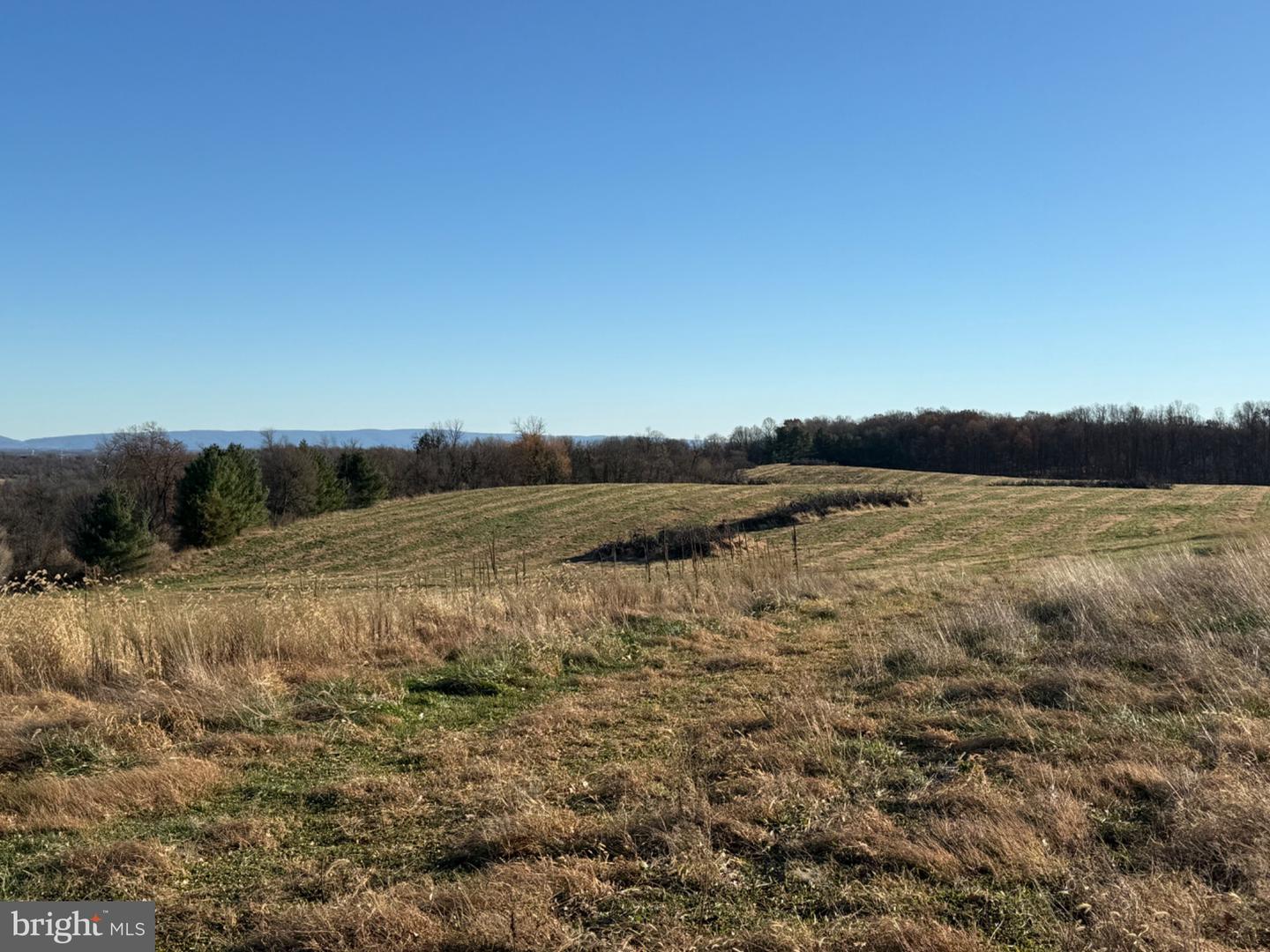 LOT 18 HONEYCRISP WAY, WINCHESTER, Virginia 22603, 4 Bedrooms Bedrooms, 15 Rooms Rooms,4 BathroomsBathrooms,Residential,For sale,LOT 18 HONEYCRISP WAY,VAFV2038120 MLS # VAFV2038120 LOT 18 HONEYCRISP WAY, WINCHESTER, Virginia 22603, 4 Bedrooms Bedrooms, 15 Rooms Rooms,4 BathroomsBathrooms,Residential,For sale,LOT 18 HONEYCRISP WAY,VAFV2038120 MLS # VAFV2038120