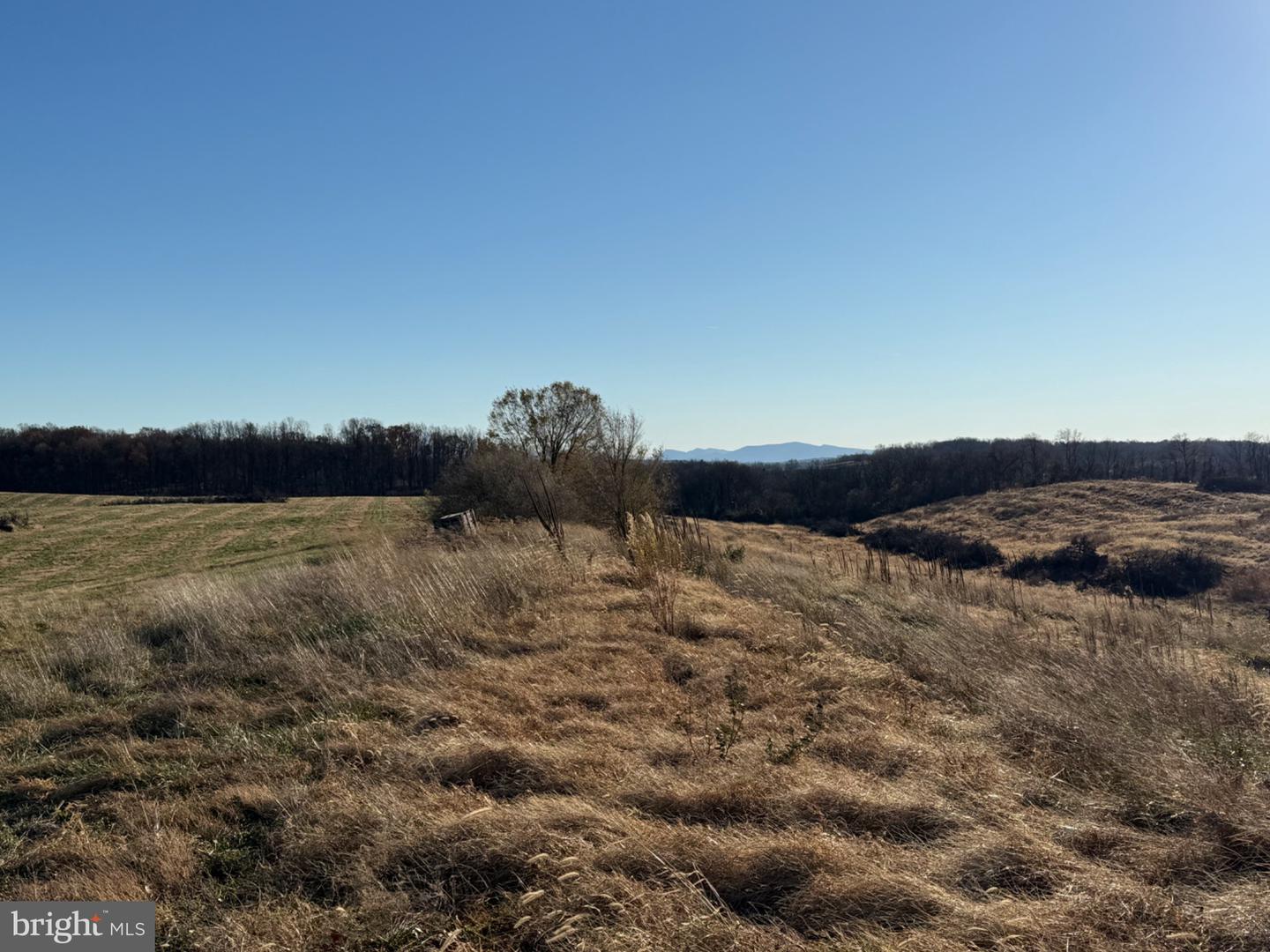 LOT 18 HONEYCRISP WAY, WINCHESTER, Virginia 22603, 4 Bedrooms Bedrooms, 15 Rooms Rooms,4 BathroomsBathrooms,Residential,For sale,LOT 18 HONEYCRISP WAY,VAFV2038120 MLS # VAFV2038120 LOT 18 HONEYCRISP WAY, WINCHESTER, Virginia 22603, 4 Bedrooms Bedrooms, 15 Rooms Rooms,4 BathroomsBathrooms,Residential,For sale,LOT 18 HONEYCRISP WAY,VAFV2038120 MLS # VAFV2038120