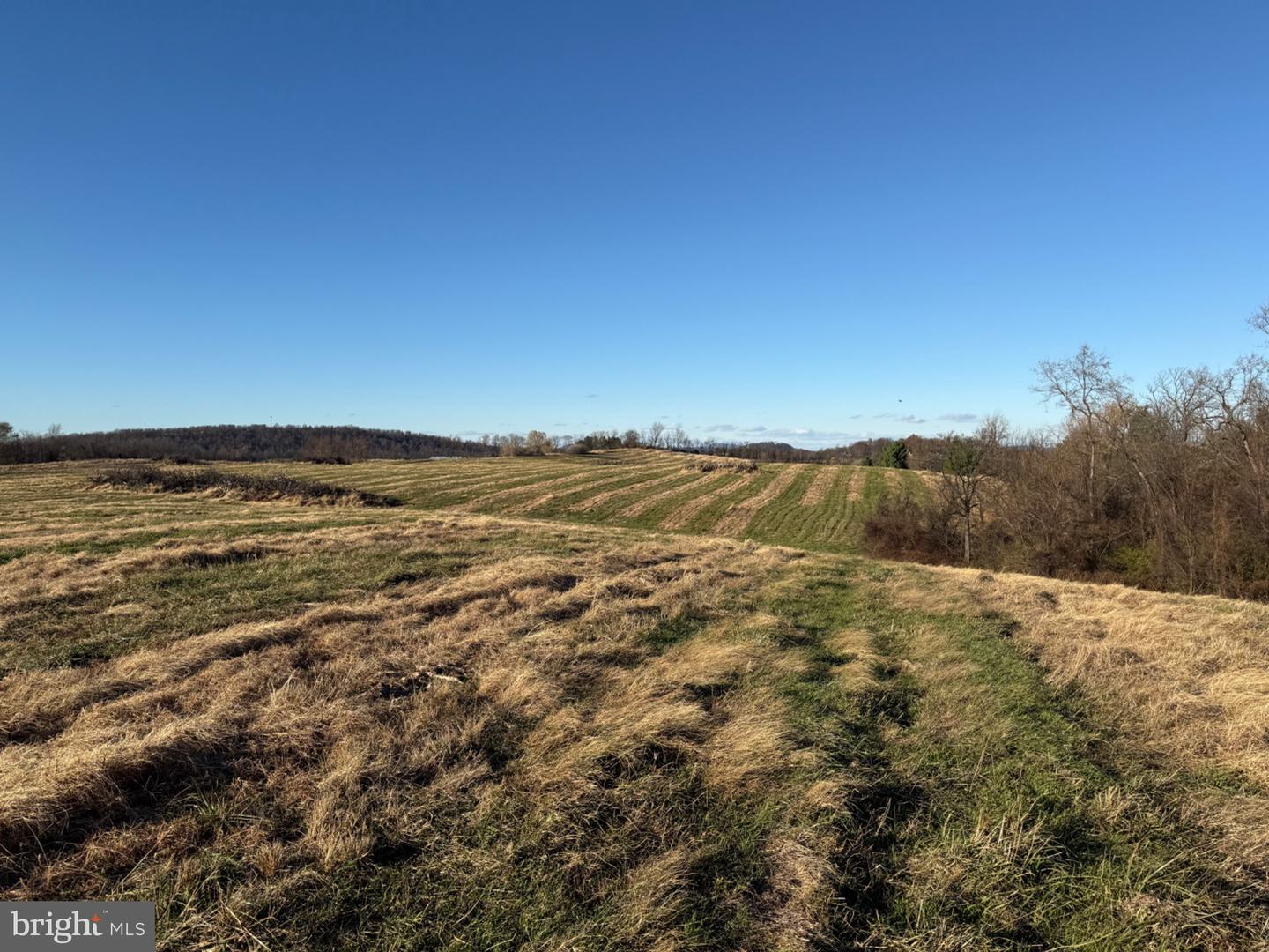 LOT 18 HONEYCRISP WAY, WINCHESTER, Virginia 22603, 4 Bedrooms Bedrooms, 15 Rooms Rooms,4 BathroomsBathrooms,Residential,For sale,LOT 18 HONEYCRISP WAY,VAFV2038120 MLS # VAFV2038120 LOT 18 HONEYCRISP WAY, WINCHESTER, Virginia 22603, 4 Bedrooms Bedrooms, 15 Rooms Rooms,4 BathroomsBathrooms,Residential,For sale,LOT 18 HONEYCRISP WAY,VAFV2038120 MLS # VAFV2038120