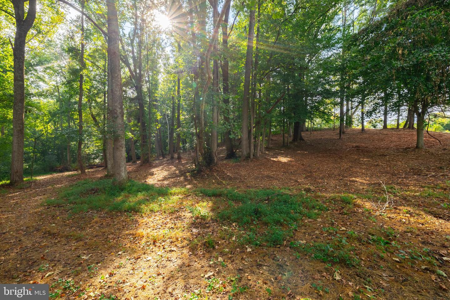 16304 PLEASANT MILL ROAD, MONTPELIER, Virginia 23192, ,Land,For sale,16304 PLEASANT MILL ROAD,VAHA2001108 MLS # VAHA2001108