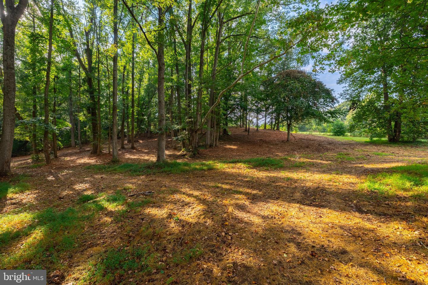 16304 PLEASANT MILL ROAD, MONTPELIER, Virginia 23192, ,Land,For sale,16304 PLEASANT MILL ROAD,VAHA2001108 MLS # VAHA2001108