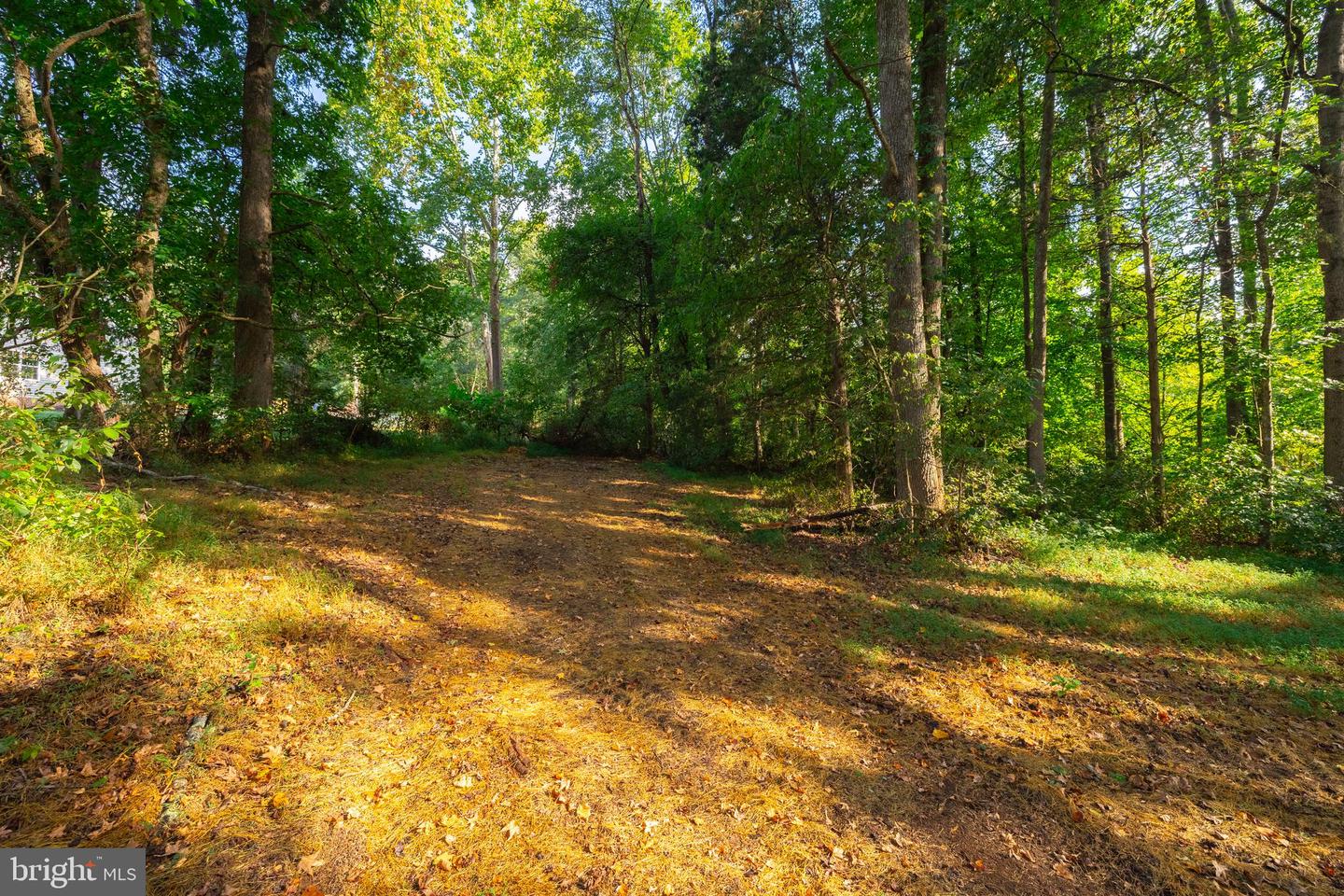 16304 PLEASANT MILL ROAD, MONTPELIER, Virginia 23192, ,Land,For sale,16304 PLEASANT MILL ROAD,VAHA2001108 MLS # VAHA2001108