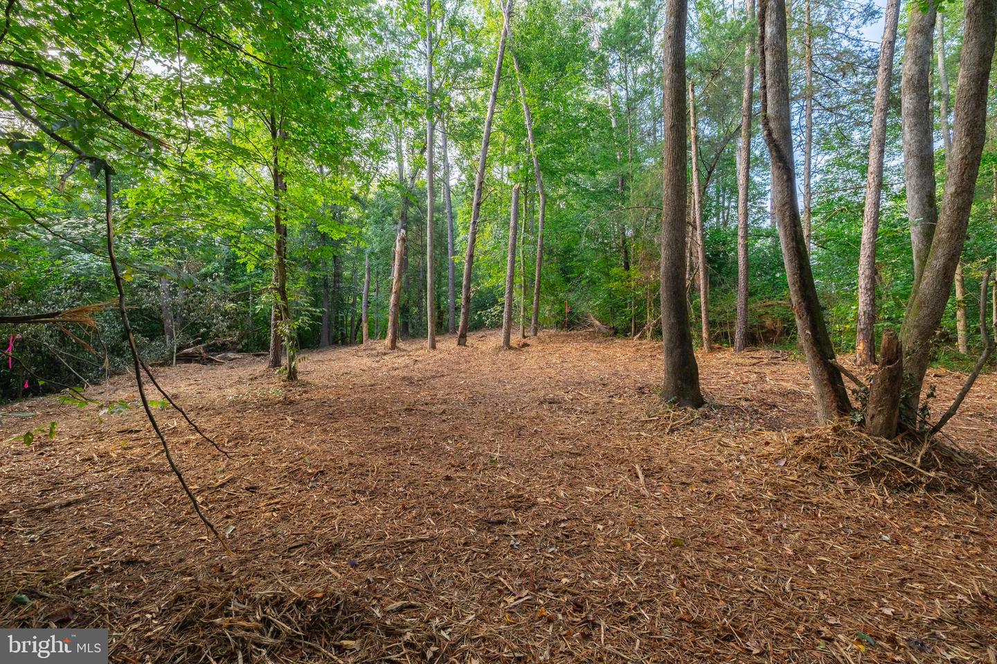 16304 PLEASANT MILL ROAD, MONTPELIER, Virginia 23192, ,Land,For sale,16304 PLEASANT MILL ROAD,VAHA2001108 MLS # VAHA2001108