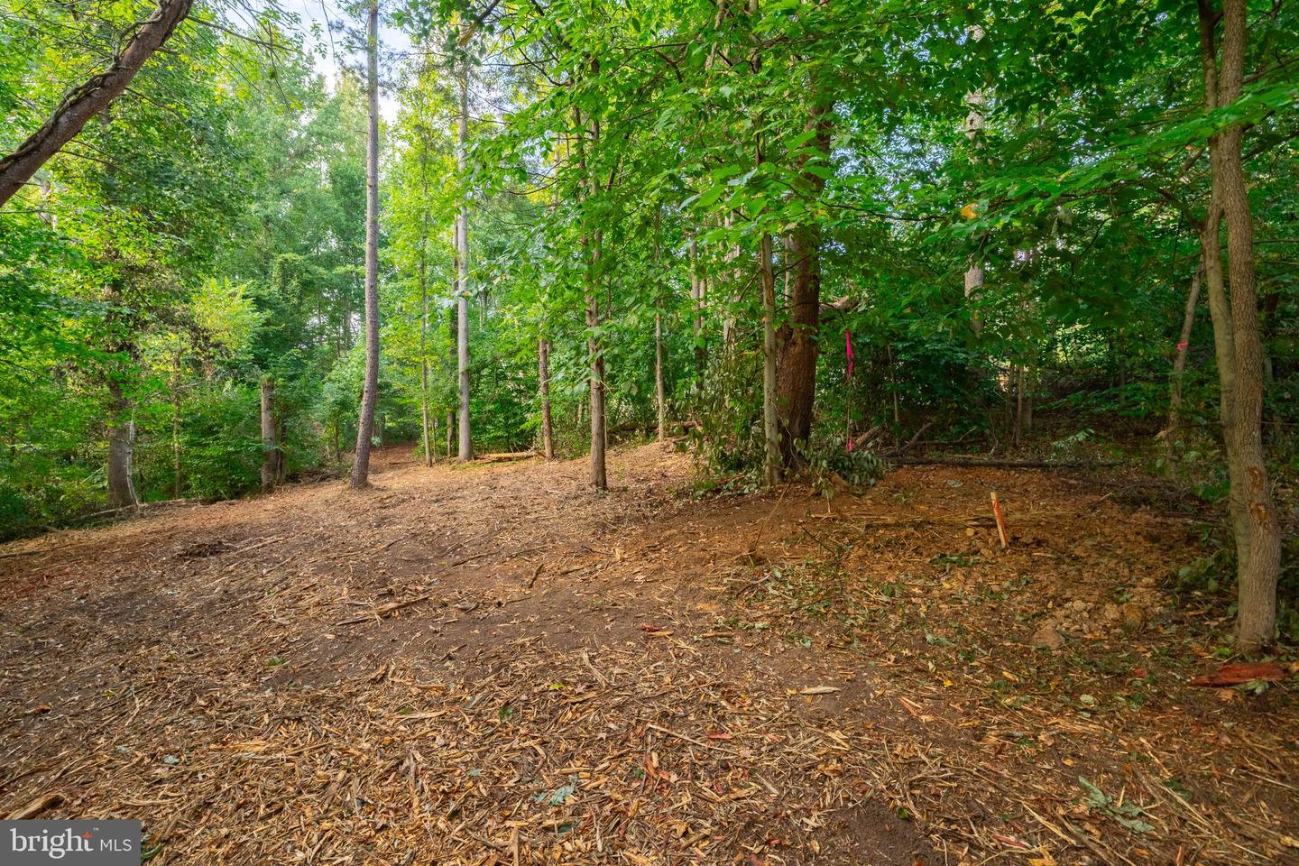 16304 PLEASANT MILL ROAD, MONTPELIER, Virginia 23192, ,Land,For sale,16304 PLEASANT MILL ROAD,VAHA2001108 MLS # VAHA2001108