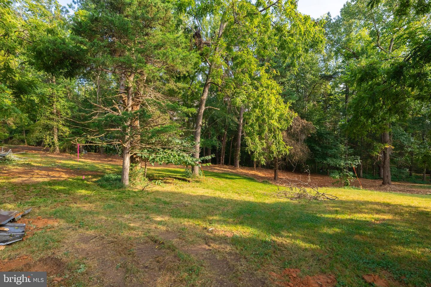 16304 PLEASANT MILL ROAD, MONTPELIER, Virginia 23192, ,Land,For sale,16304 PLEASANT MILL ROAD,VAHA2001108 MLS # VAHA2001108