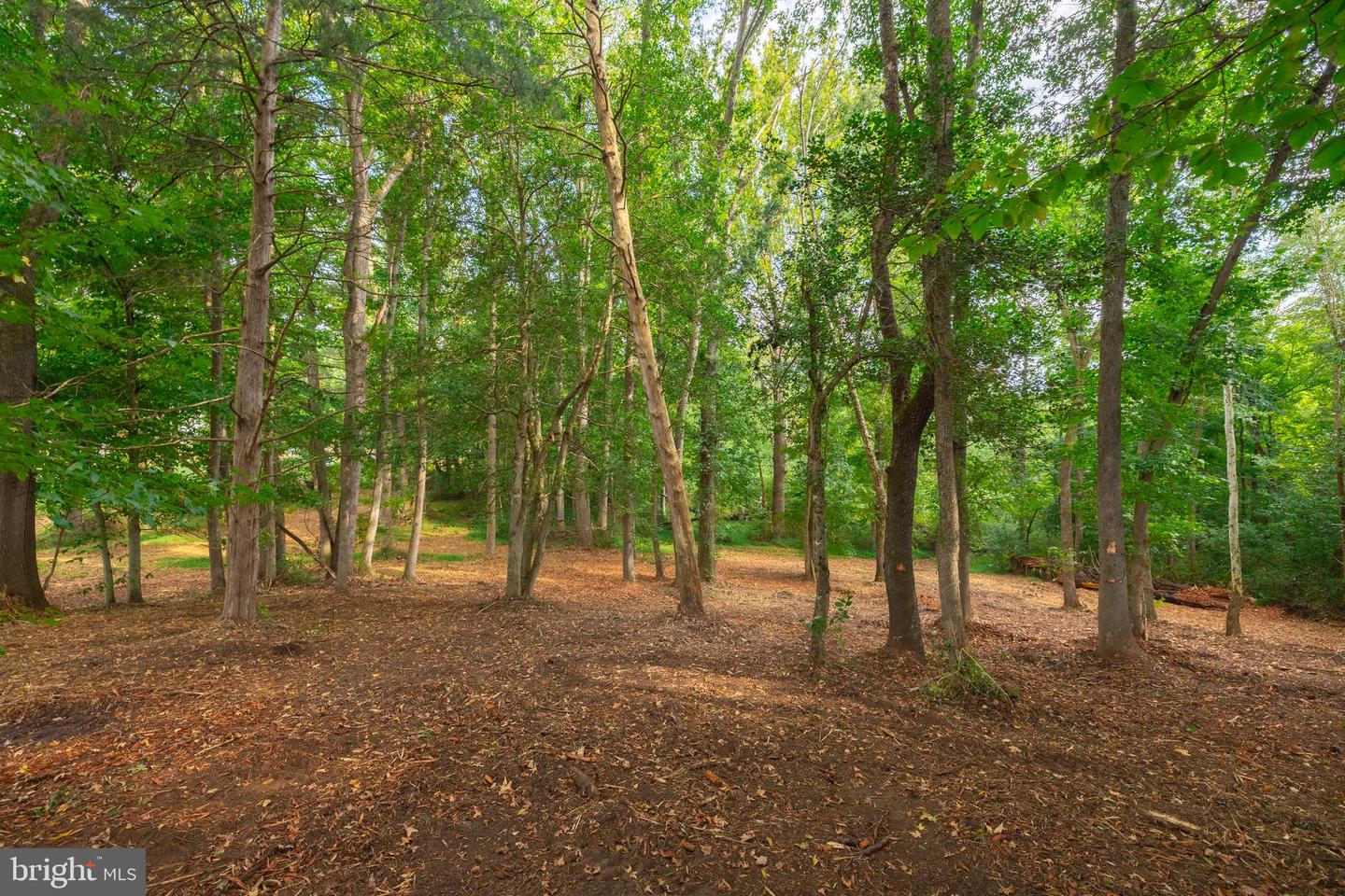 16304 PLEASANT MILL ROAD, MONTPELIER, Virginia 23192, ,Land,For sale,16304 PLEASANT MILL ROAD,VAHA2001108 MLS # VAHA2001108