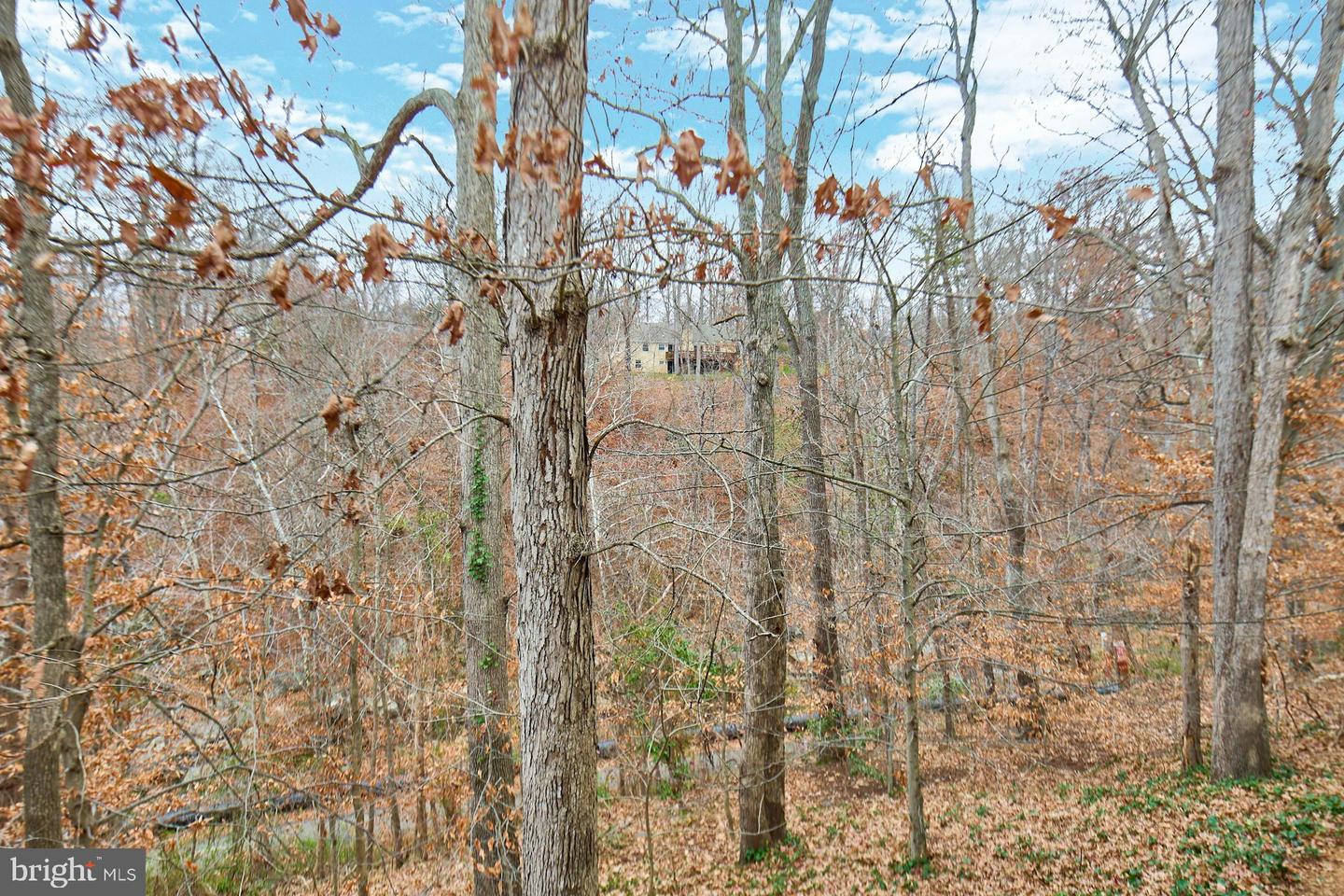 8566 GWYNEDD WAY, SPRINGFIELD, Virginia 22153, 3 Bedrooms Bedrooms, ,2 BathroomsBathrooms,Residential,For sale,8566 GWYNEDD WAY,VAFX2274514 MLS # VAFX2274514 8566 GWYNEDD WAY, SPRINGFIELD, Virginia 22153, 3 Bedrooms Bedrooms, ,2 BathroomsBathrooms,Residential,For sale,8566 GWYNEDD WAY,VAFX2274514 MLS # VAFX2274514