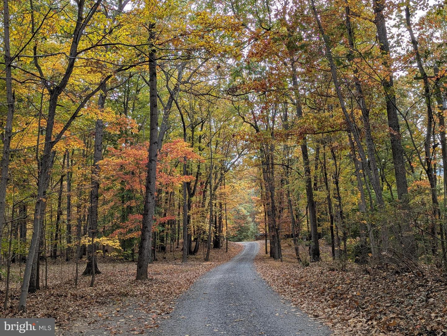 181 BROOK VIEW RD, FRONT ROYAL, Virginia 22630, 3 Bedrooms Bedrooms, ,3 BathroomsBathrooms,Residential,For sale,181 BROOK VIEW RD,VAWR2012684 MLS # VAWR2012684