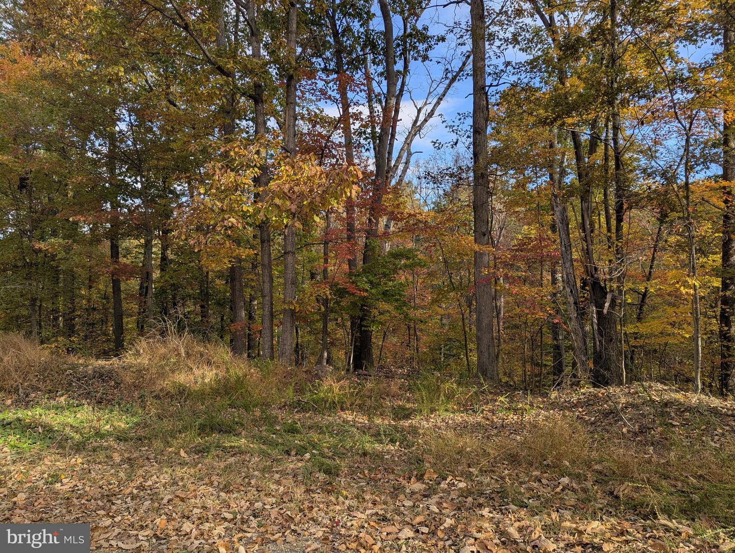 181 BROOK VIEW RD, FRONT ROYAL, Virginia 22630, 3 Bedrooms Bedrooms, ,3 BathroomsBathrooms,Residential,For sale,181 BROOK VIEW RD,VAWR2012684 MLS # VAWR2012684