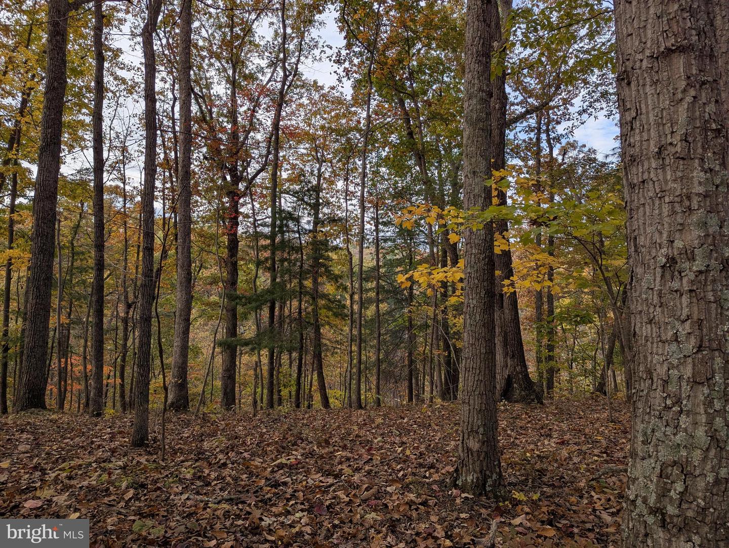 181 BROOK VIEW RD, FRONT ROYAL, Virginia 22630, 3 Bedrooms Bedrooms, ,3 BathroomsBathrooms,Residential,For sale,181 BROOK VIEW RD,VAWR2012684 MLS # VAWR2012684