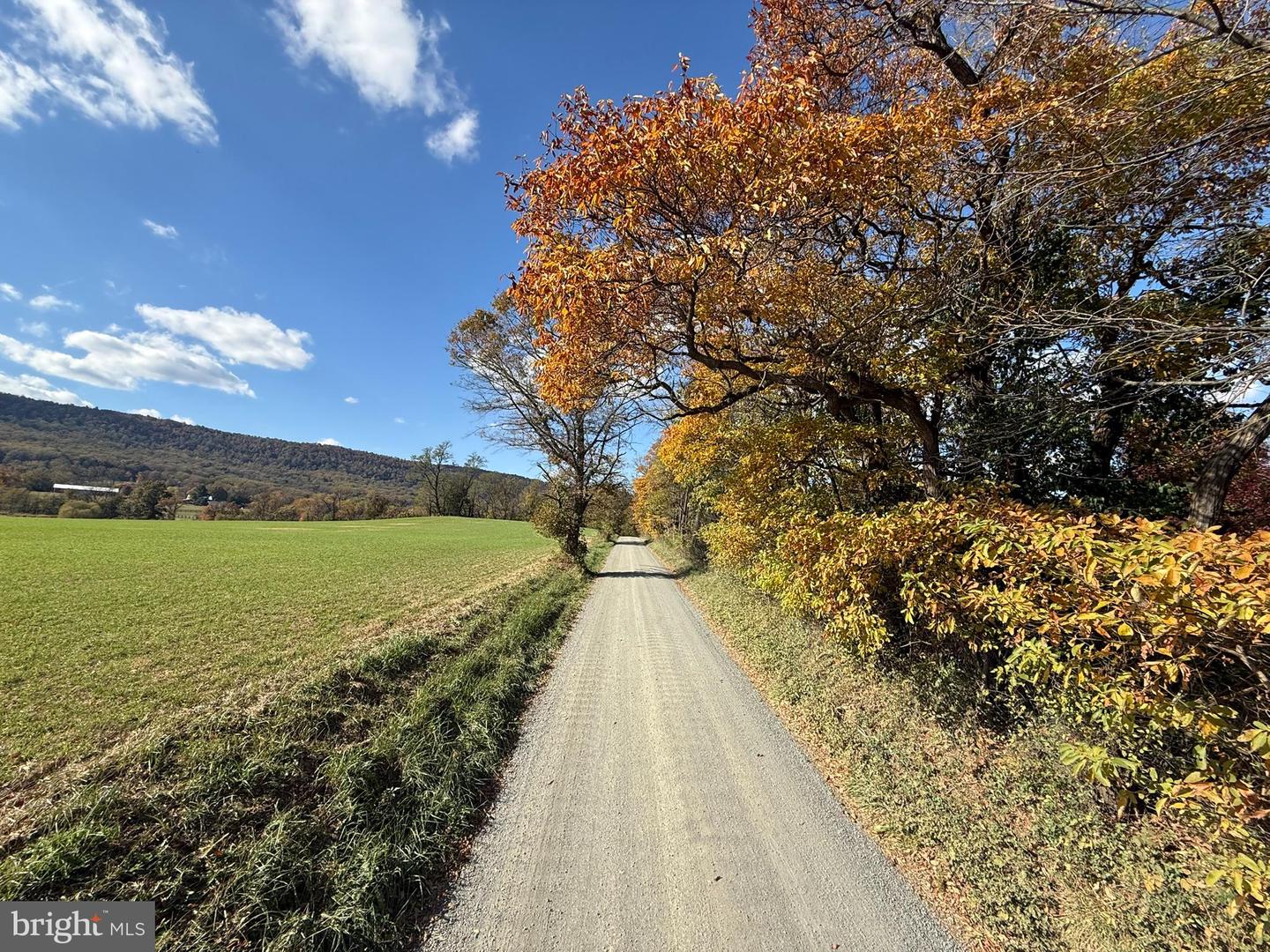 12080 AXLINE RD, LOVETTSVILLE, Virginia 20180, 4 Bedrooms Bedrooms, ,2 BathroomsBathrooms,Residential,For sale,12080 AXLINE RD,VALO2111328 MLS # VALO2111328